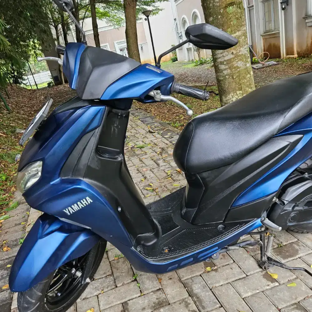 Yamaha freego sale