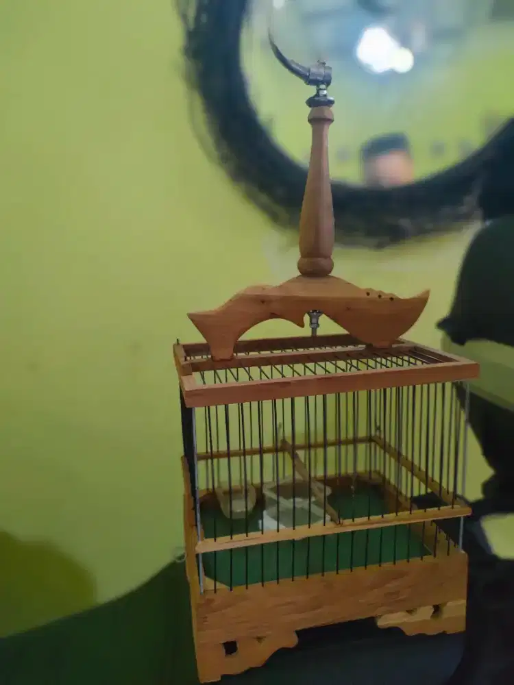 Kandang pleci bahan jati