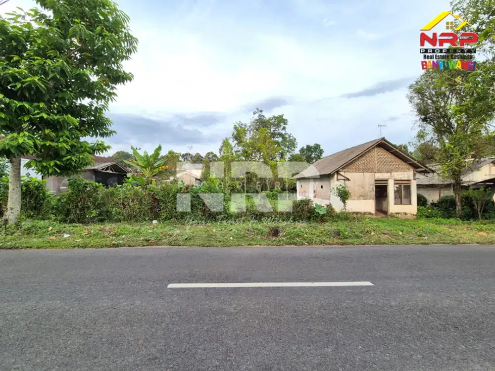 Dijual Tanah luas, udara sejuk, jauh dari hiruk pikuk kota di Songgon Banyuwangi