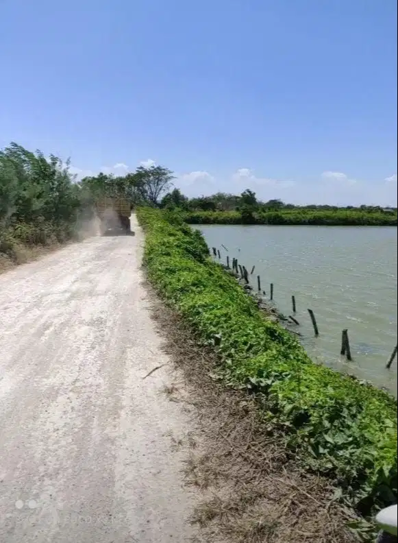 DIJUAL LAHAN TAMBAK AKTIF SUMBER LANGGENG BENOWO! AREA SUPER LUAS!