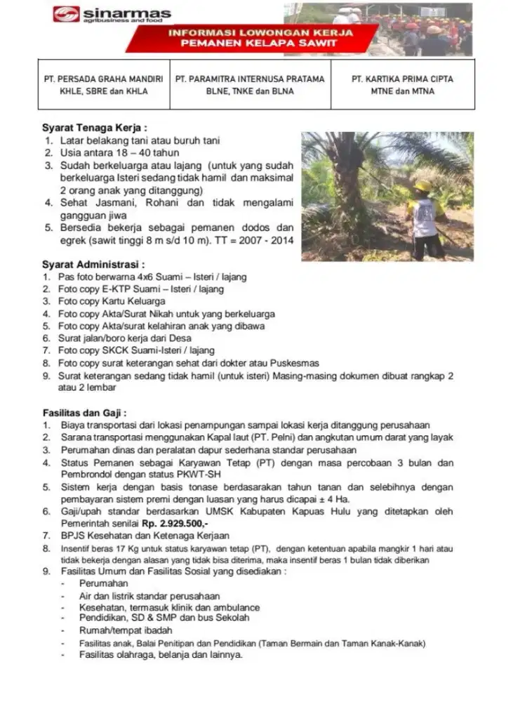 LOKER PANEN KEPALA SAWIT SELURUH KALIMANTAN