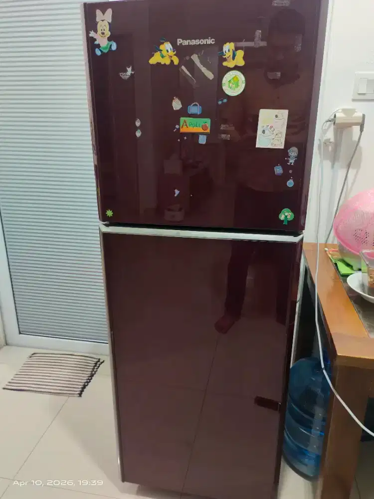 Kulkas 2 pintu Panasonic