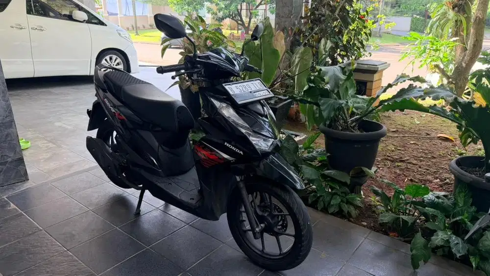 Beat mulus jual santai