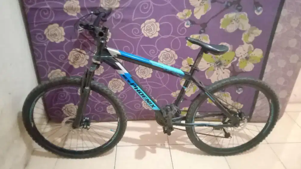 Sepedah gunung phoenix uk26