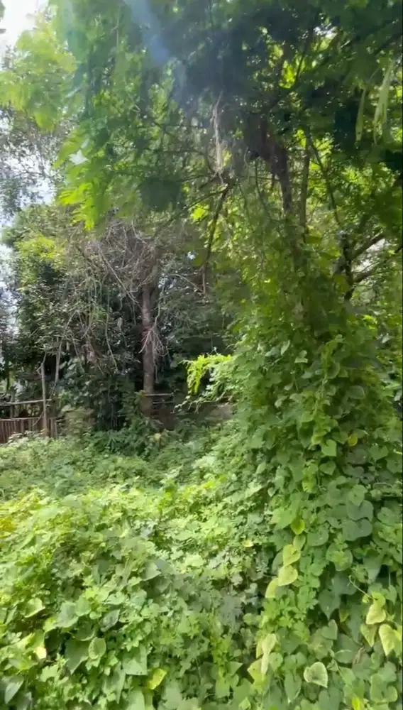 DIJUAL TANAH MURAH CIAMIK SUPER STRATEGIS DI UNGASAN BALI!