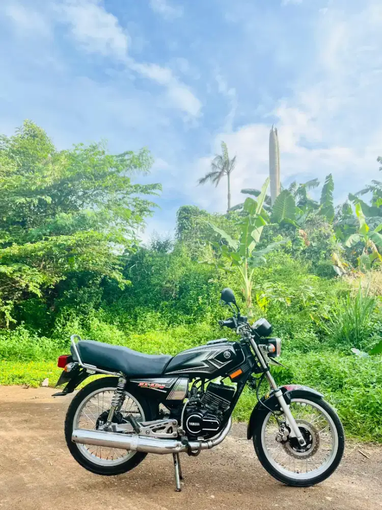 RX KING 2004 Black mamba