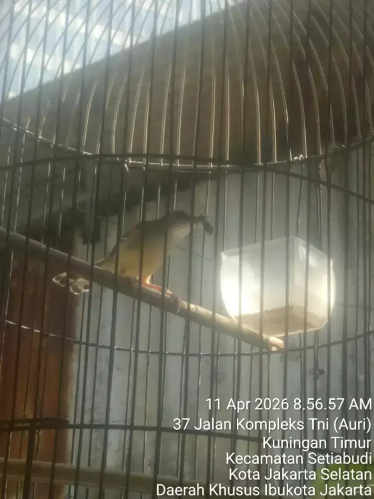 JUAL SANTAI SAMBIL NGOPI