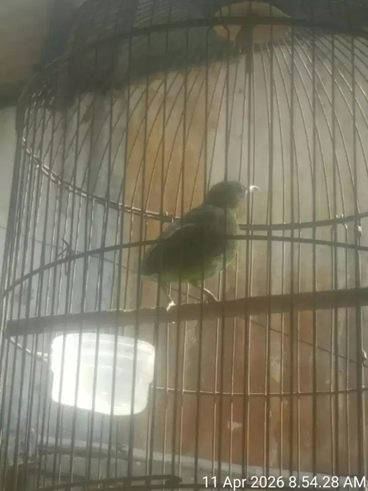 JUAL SANTAI SAMBIL NGOPI