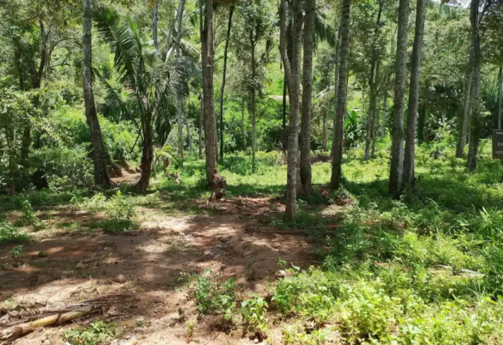 Di Jual Tanah di Depan Sirkuit Mandalika Lombok