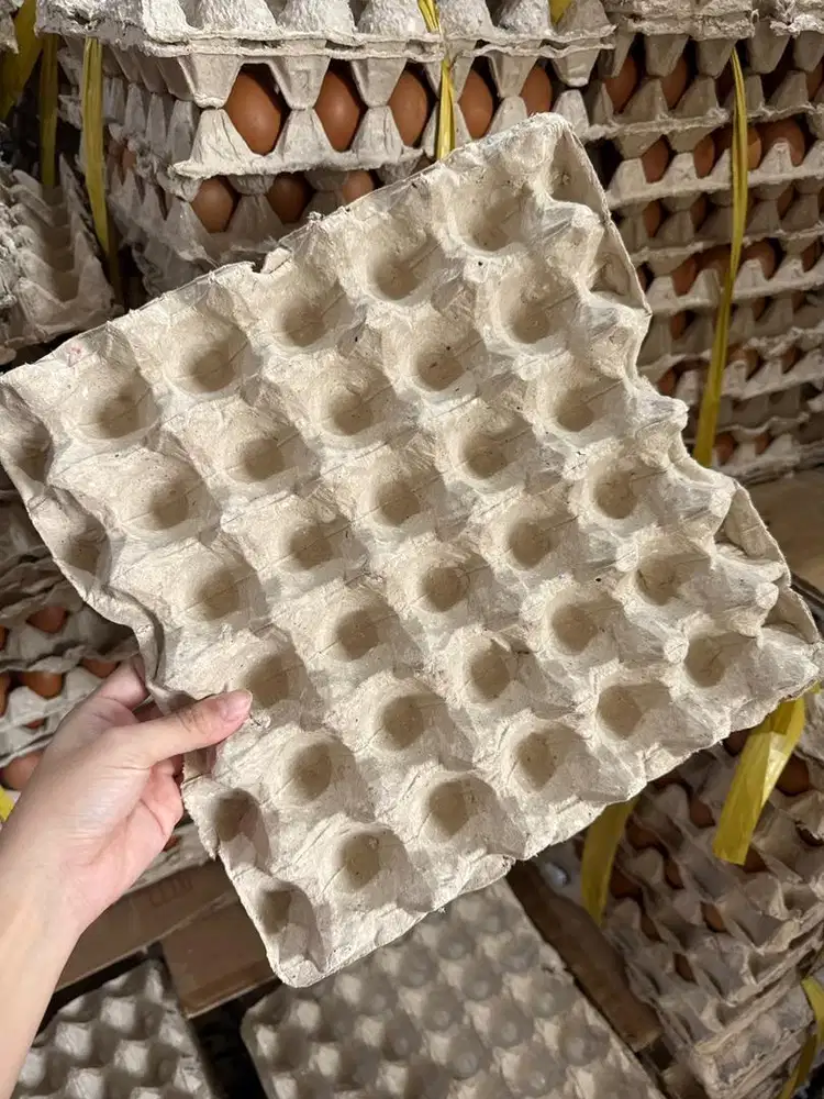 Tray telur bekas murah