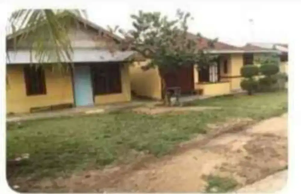 jual cepat rmh sama bedeng di kalidoni