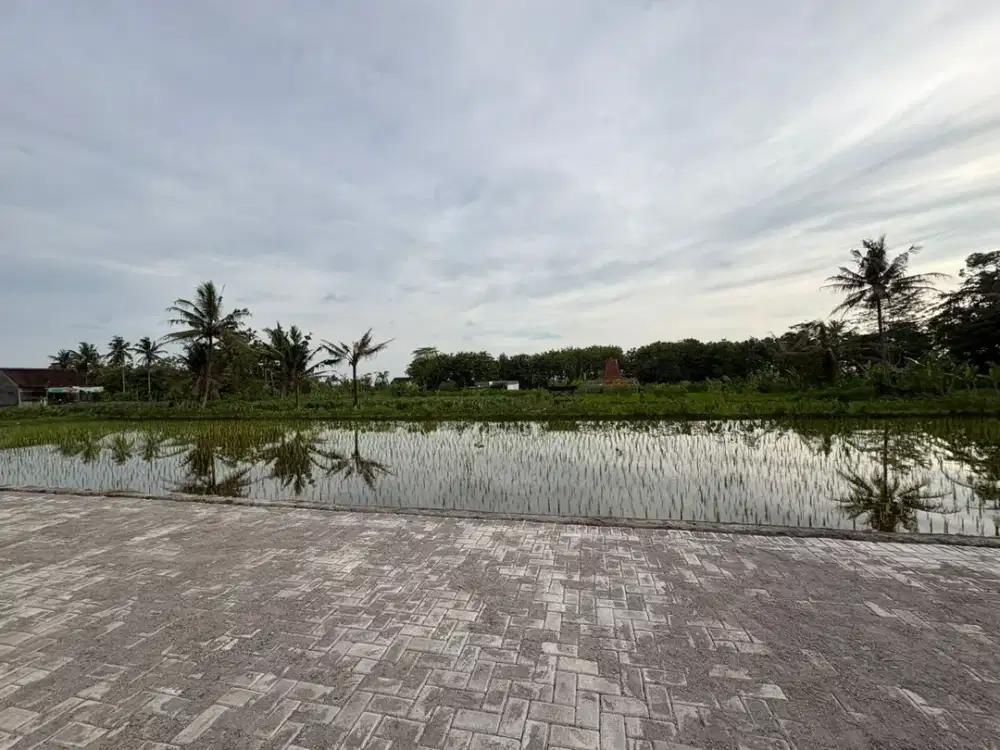 Beli tanah dekat UII Kaliurang siap bangun rumah kost