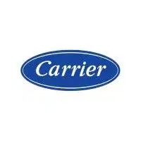 Showcase island freezer plug in