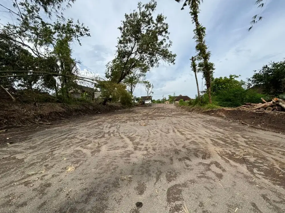 200 Meter SMP 2 Kalasan, Tanah SHM Pekarangan