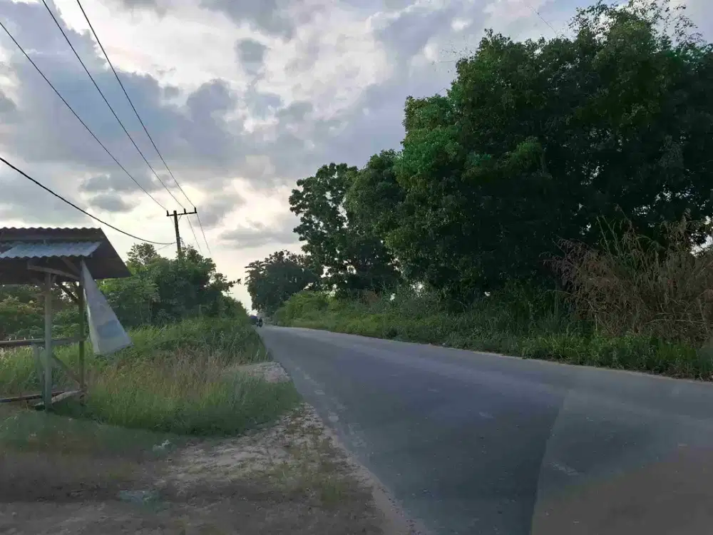 Tanah tepi jalan Labersa Dekat dengan kantor BNN, kota Pekanbaru
