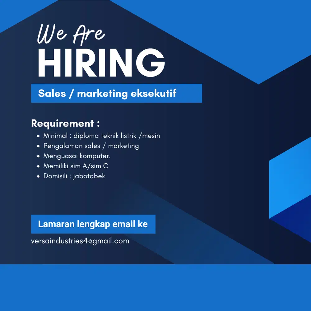 Sales / marketing eksekutif