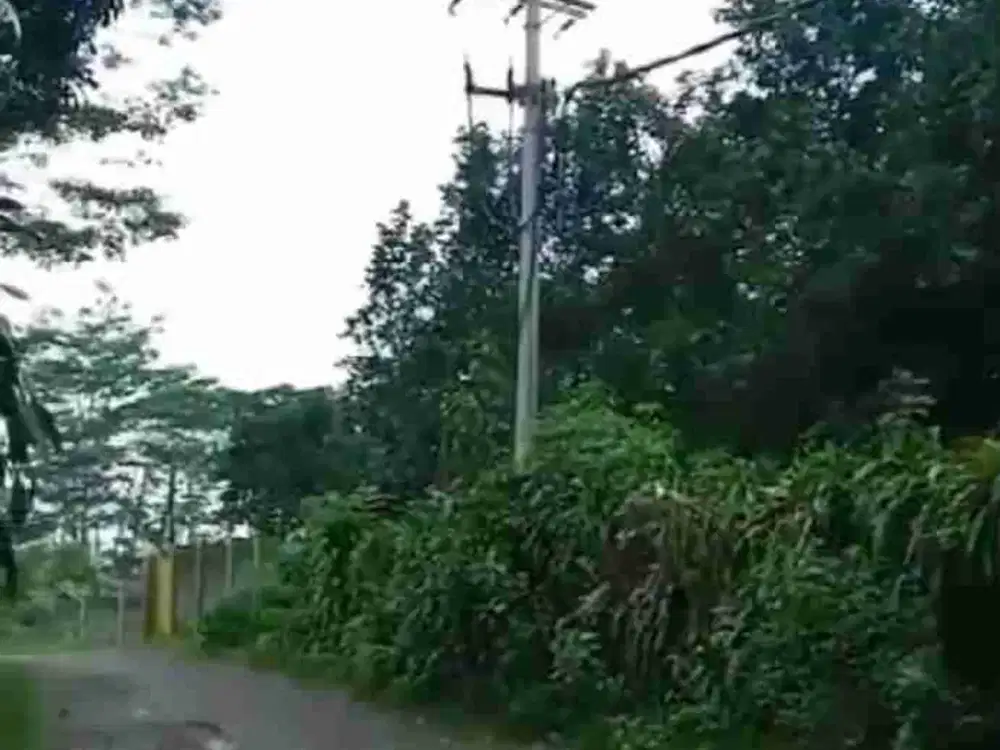 tanah ploting kuning luas murah cocok buat kandan ayam