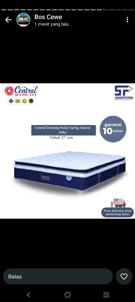 Springbed Central dominiQ pocket UK.120x200 + divan modern