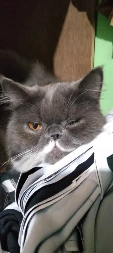 URGENT BUTUH PEKERJAAN