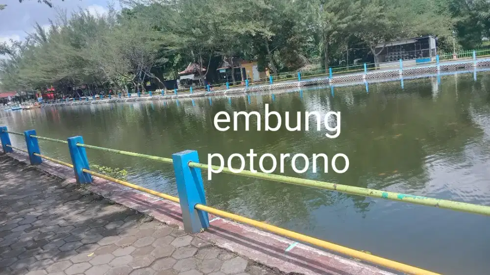 dikontrakkan rabbit garden resto