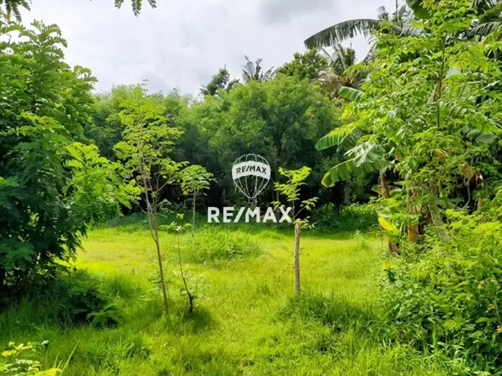 HOT DEAL!! DIJUAL CEPAT TANAH KAVLINGAN, BULUSAN -KLATAK, KALIPURO -BANYUWANGI