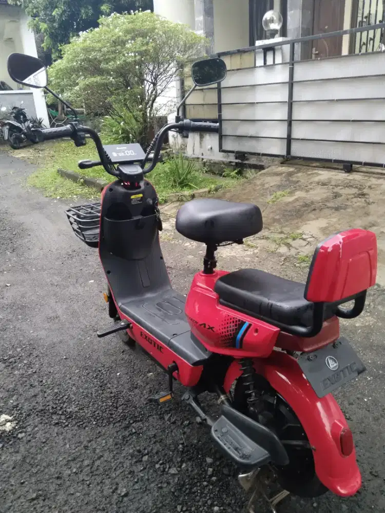 JUAL EXOTIC GROZA MX