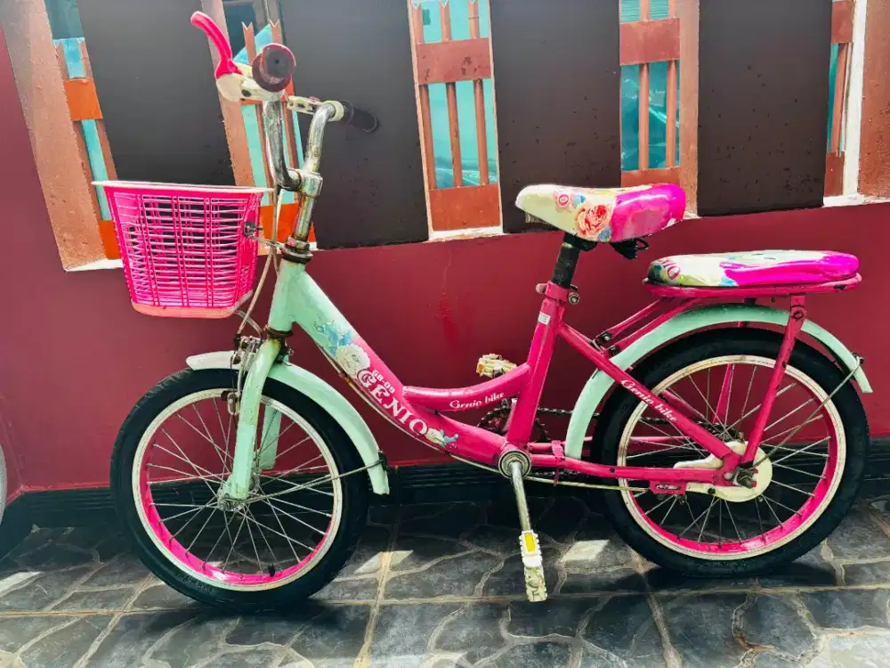 Sepeda anak perempuan