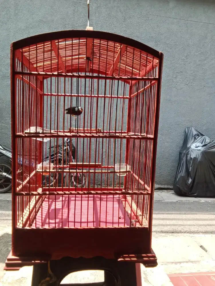 Sangkar kotak Ukuran No4