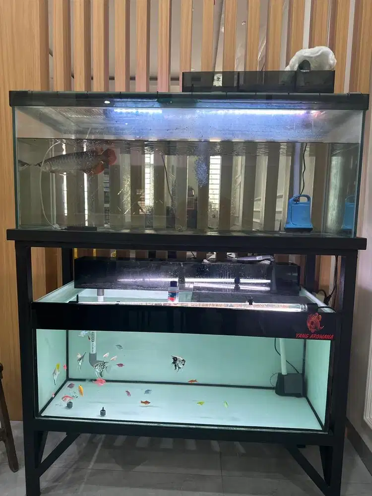 Arwana SR + Aquarium 2 tk