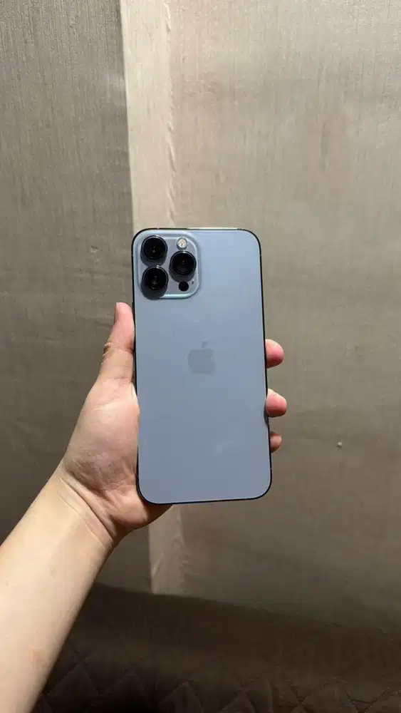 iphone 13 pro max 1TB