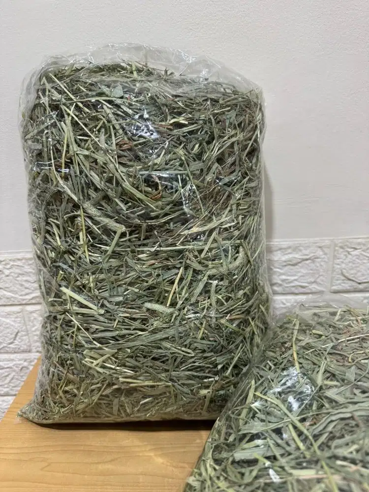 Timothy Hay 500gr makanan kelinci