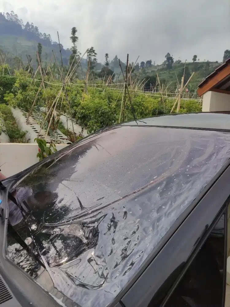 Kaca film mobil Cover jok wrapping sticker murmer berkualitas