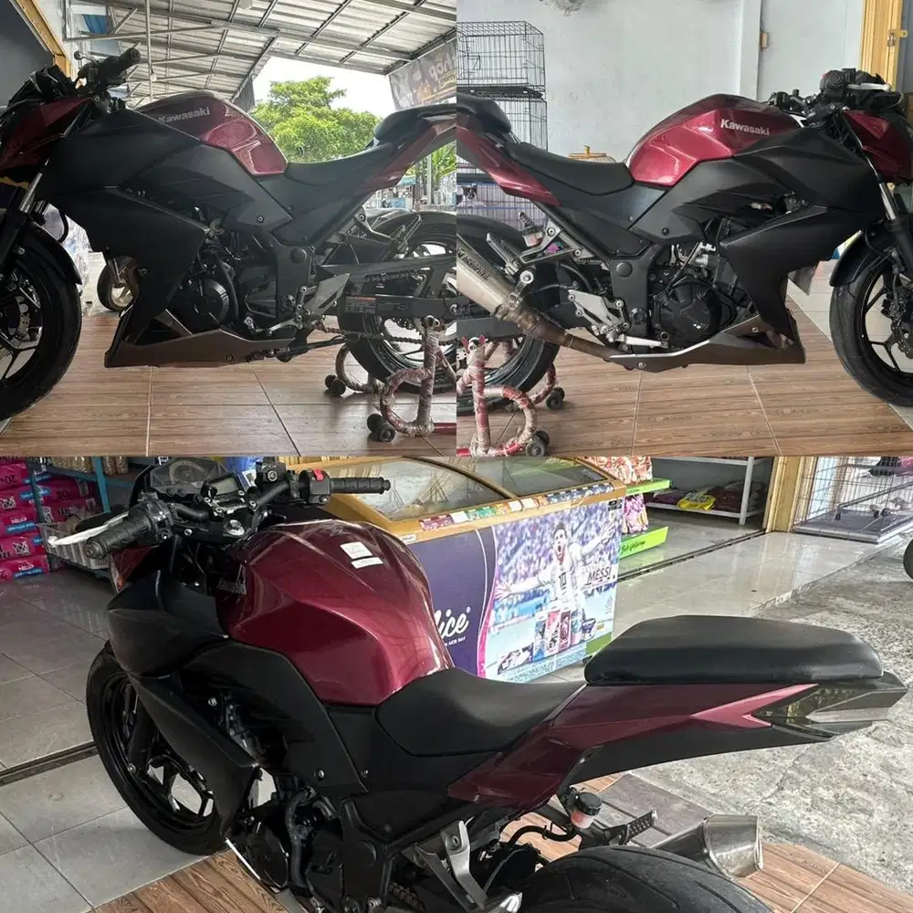 Kawasaki Z250 2016
