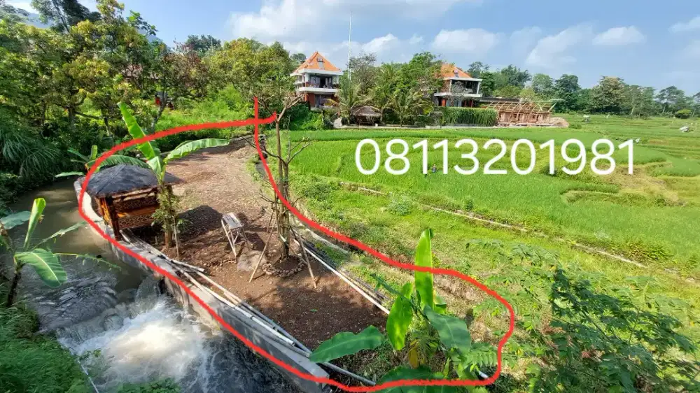 Tanah view sawah terasering