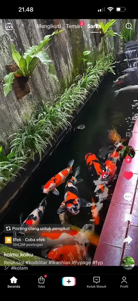 Dibutuhkan pembantu rumah tangga wajib tinggal di tempat kerja.