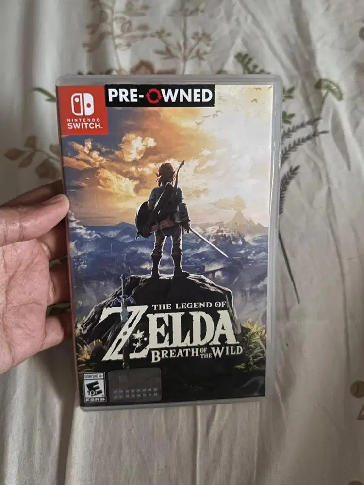 Game fisik Zelda Breath of the wild