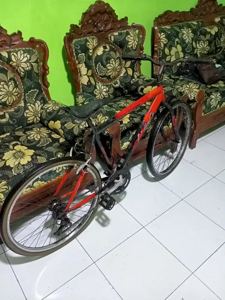 Sepeda dewasa r26 murah