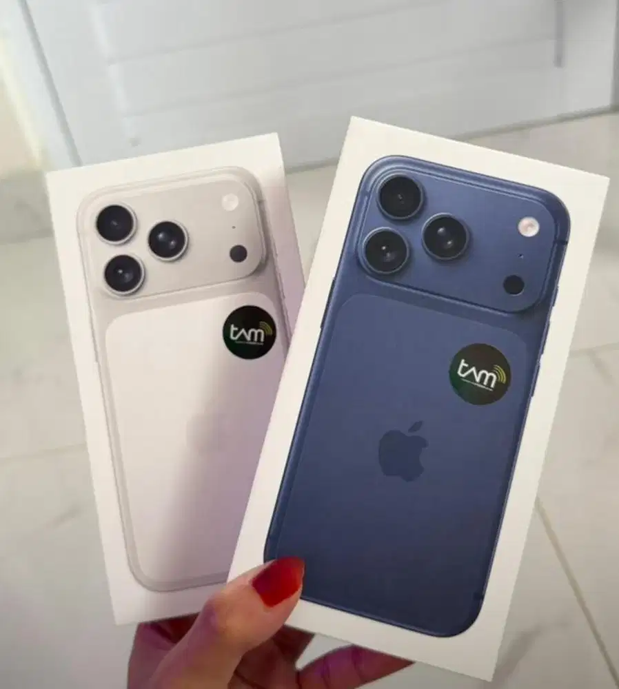 17 Pro silver & Blue