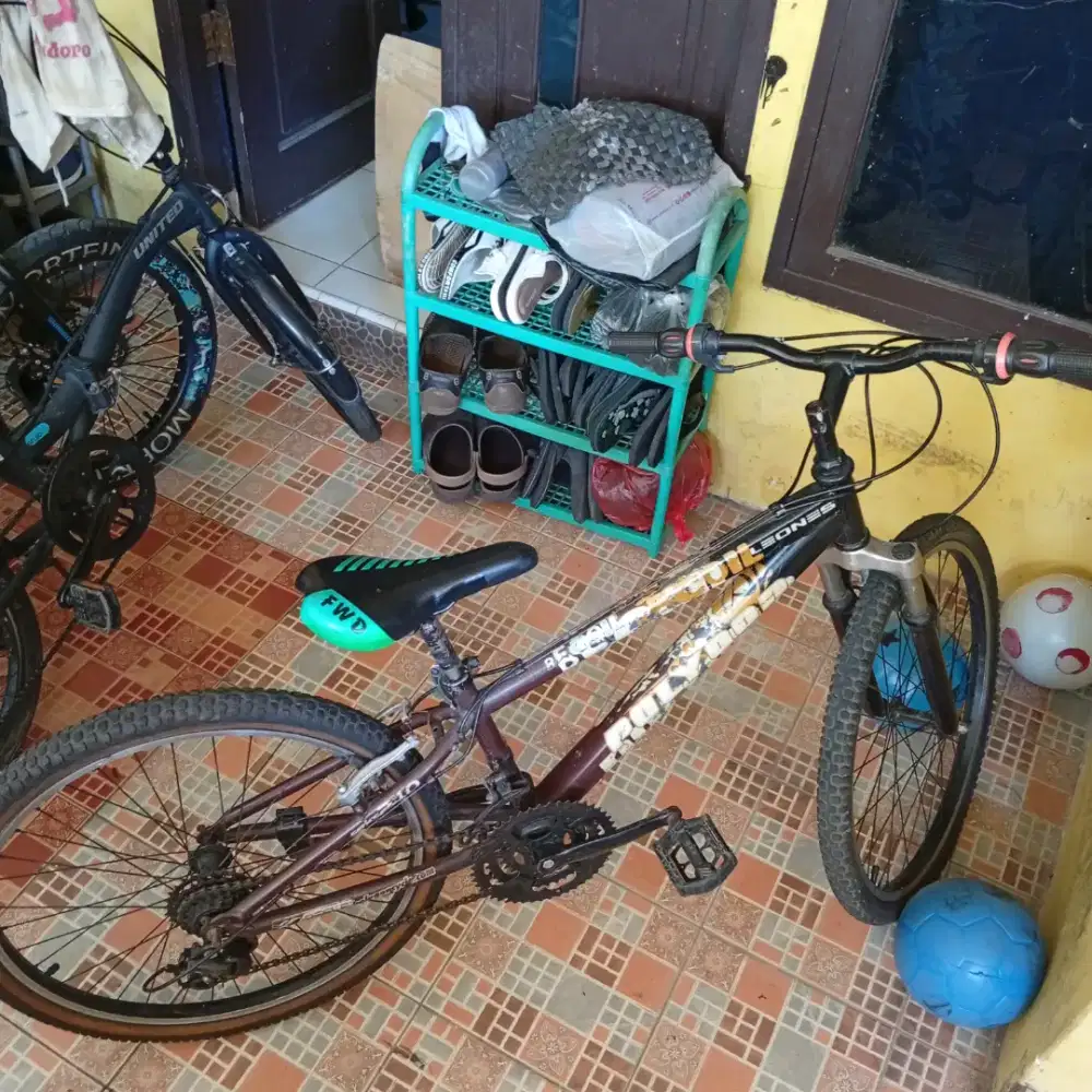 SEPEDA MTB POLYGON RECOIL 24