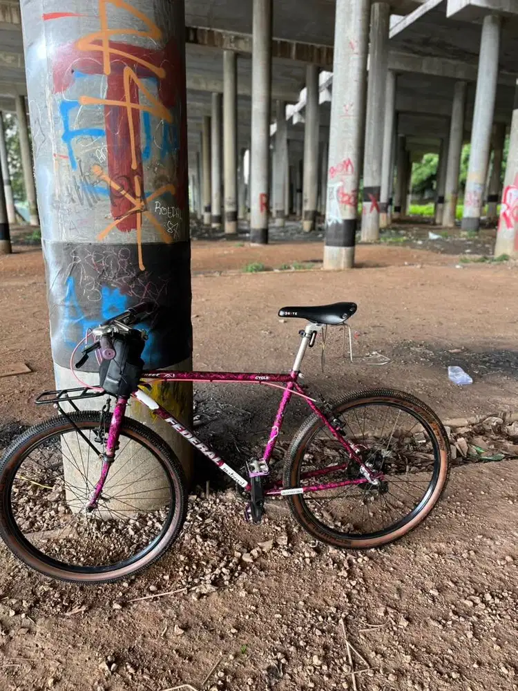 Federal II commuter bike