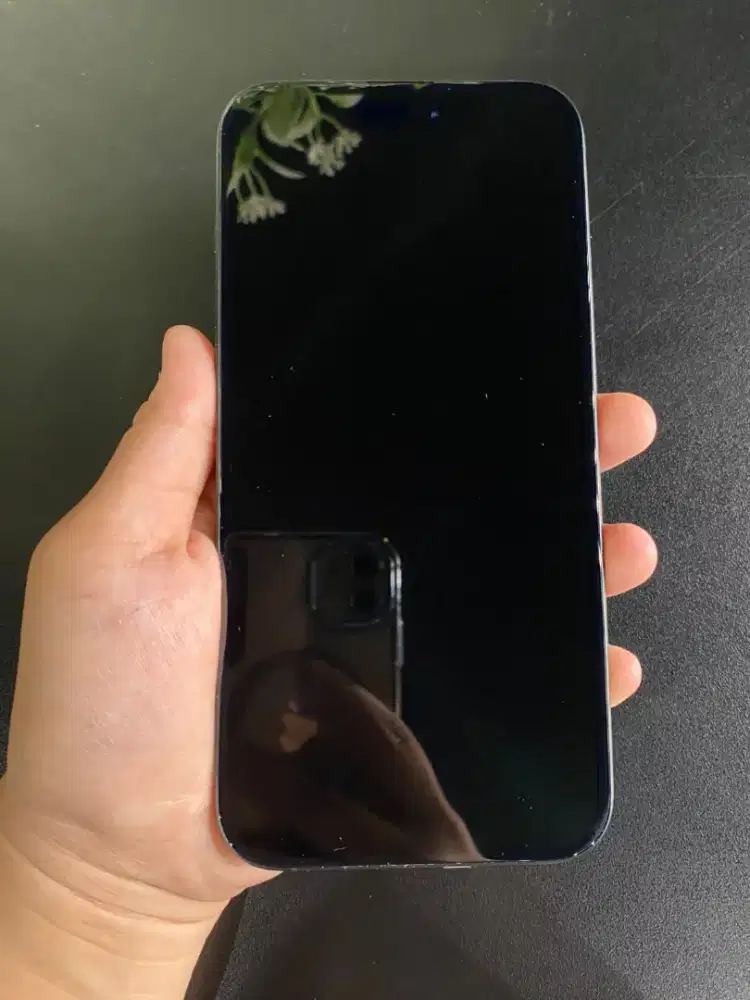 iPhone 16 Plus Resmi 256 GB