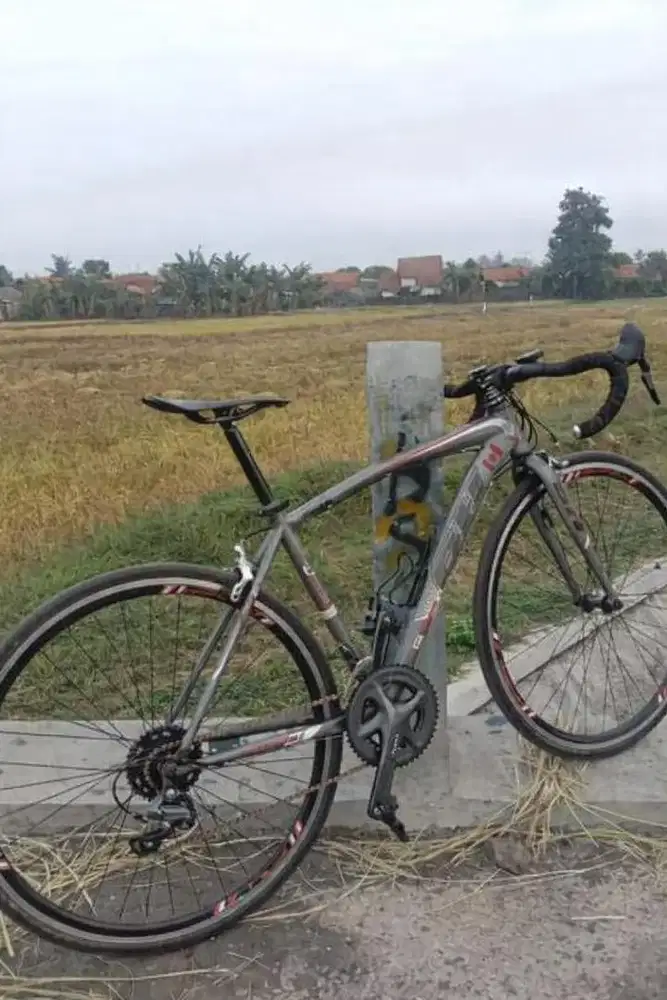 Sepeda Roadbike Evergreen