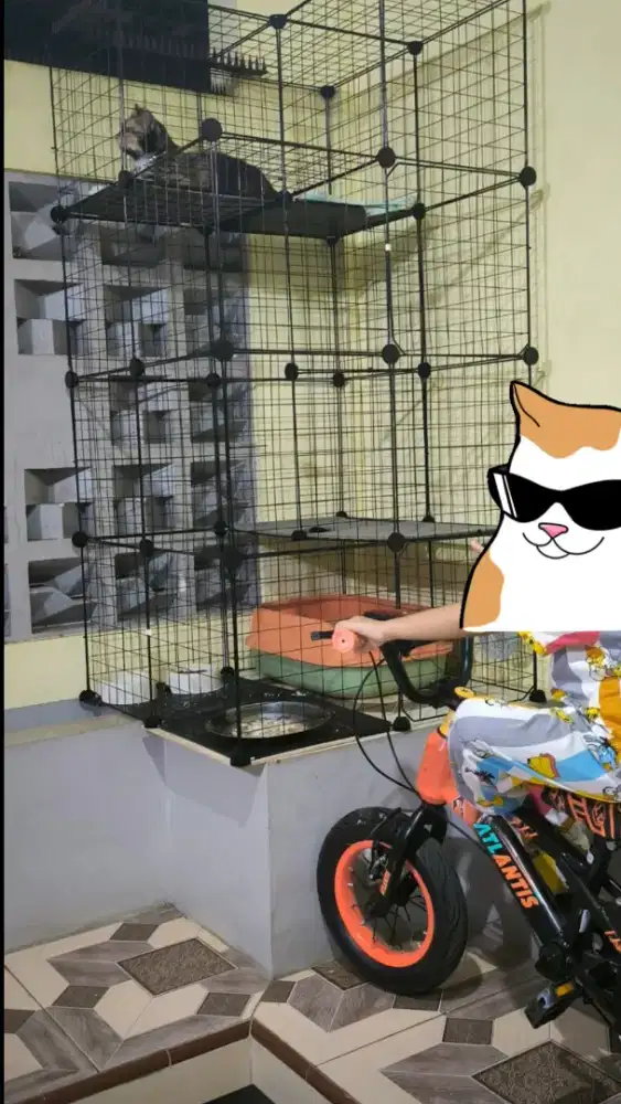 Kandang kucing dan tempat ee kucing