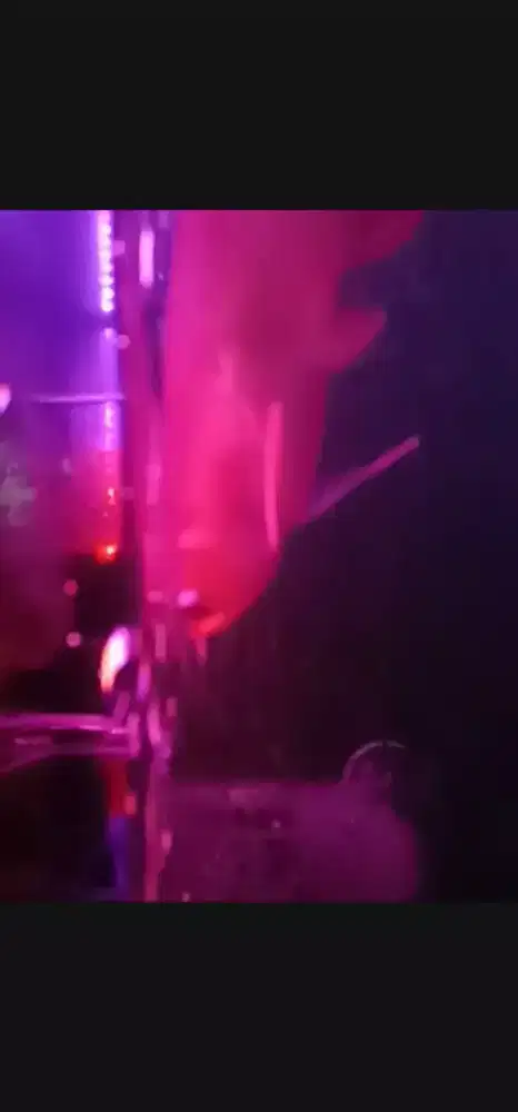 Arwana Super red Spek Gondrong Murcek cakep size  -+17cm