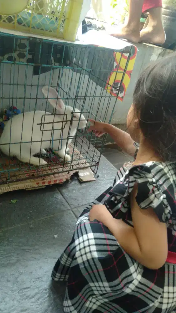 Cari lowongan pekerjaan