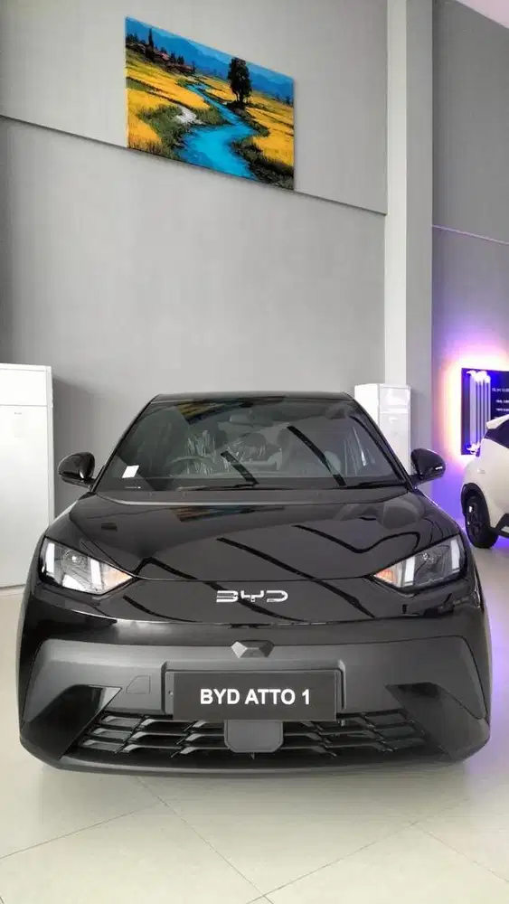 BYD ATTO 1 DYNAMIC/PREMIUM