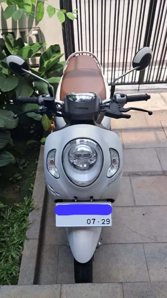 Scoopy Prestige 2024