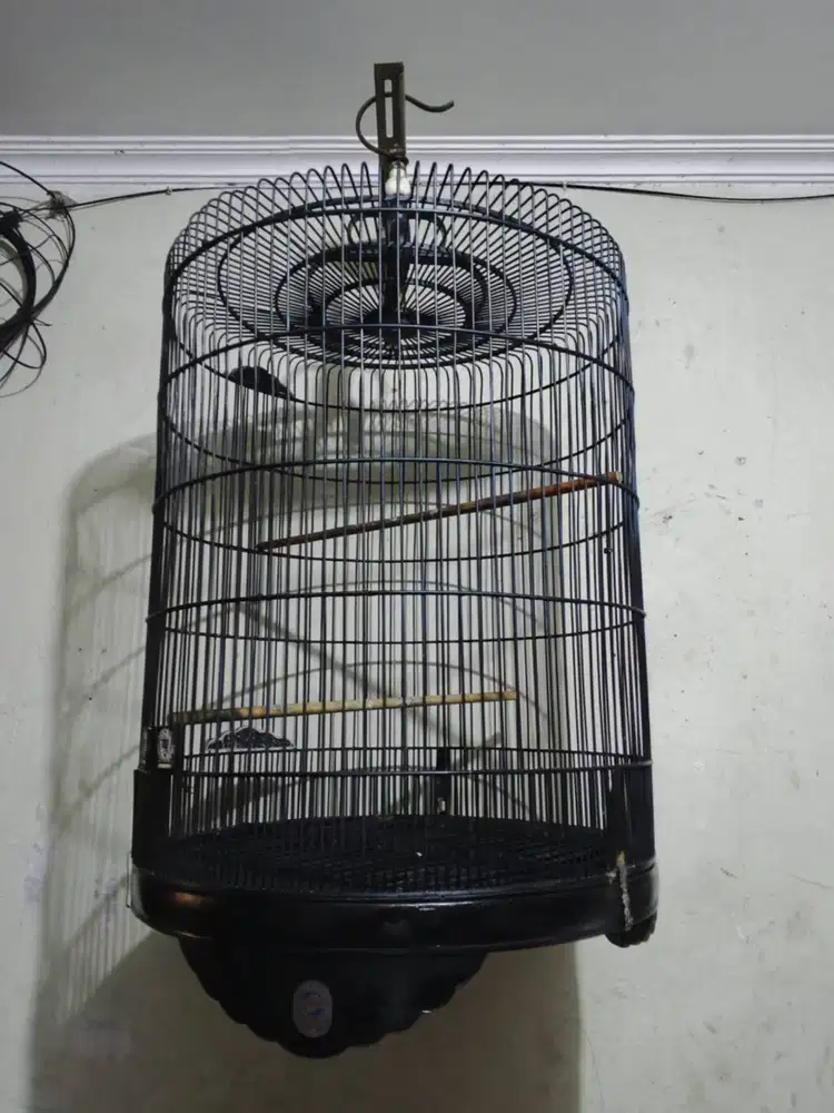 Kandang murai ebod bonus isi nya