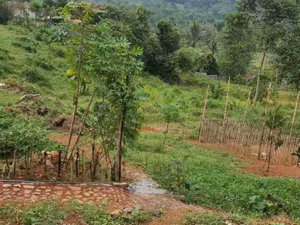 di jual tanah kebun berikut ada villa, berikut kandang kambing, Ayam di cigudeg Bogor barat