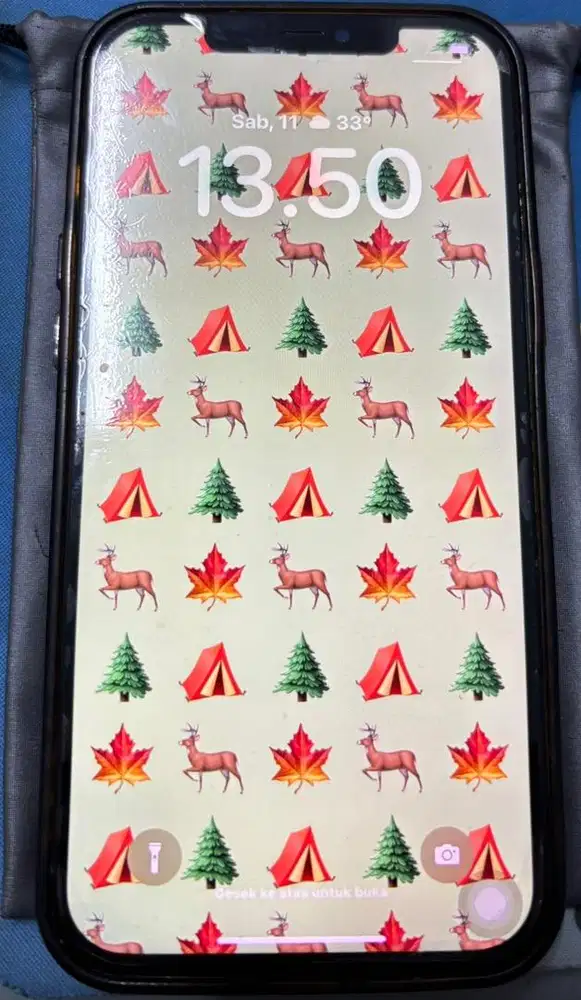 Dijual Iphone 12 Pro Max second (Pemakaian Pribadi - Cewek)